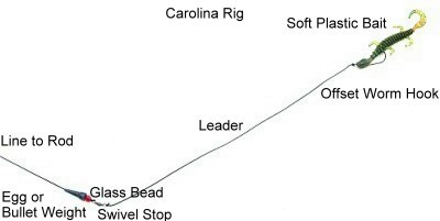 carolinarig